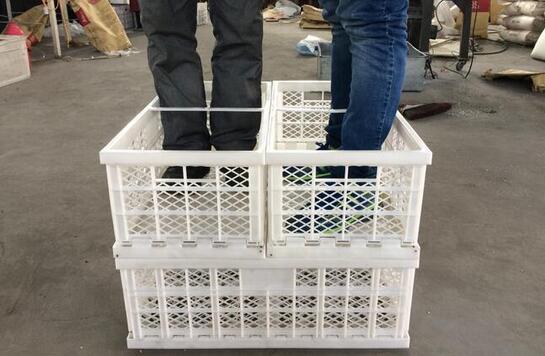 塑料鸡蛋周转箱的日常保养工作怎么做？